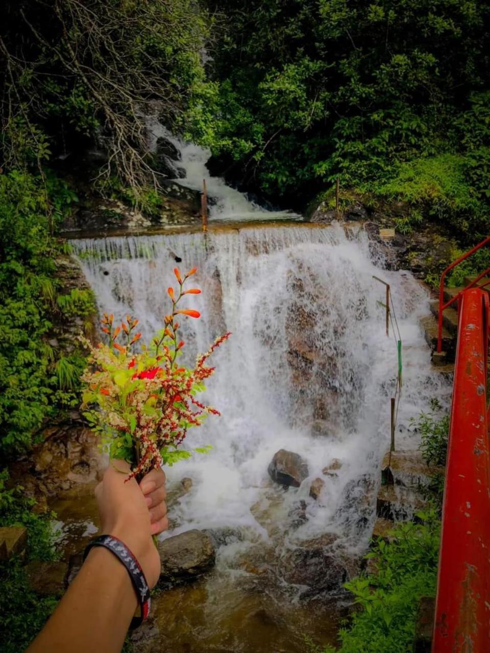 Dilani Adamspeak Riverstay Nallathanniya Exterior photo