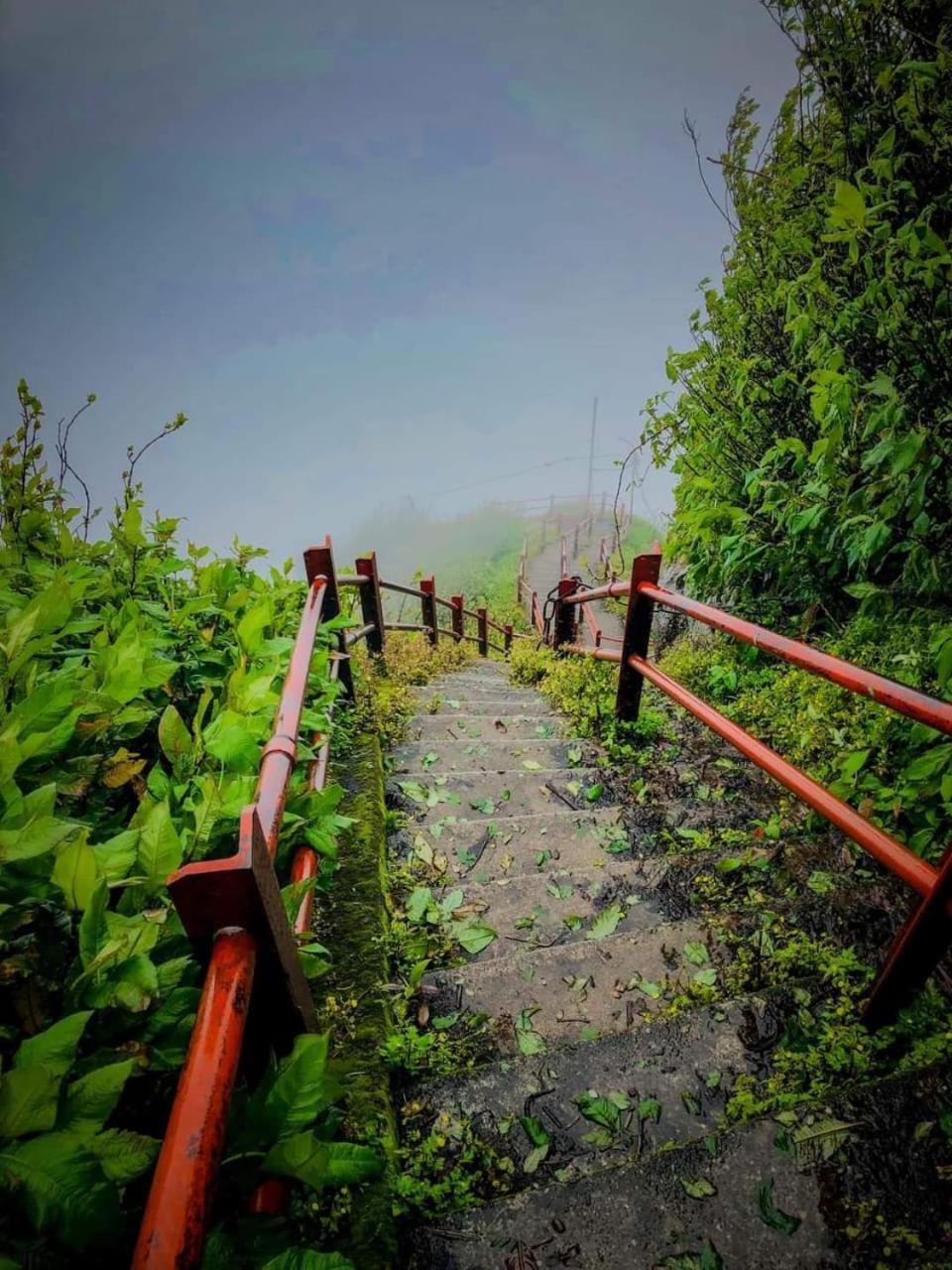 Dilani Adamspeak Riverstay Nallathanniya Exterior photo