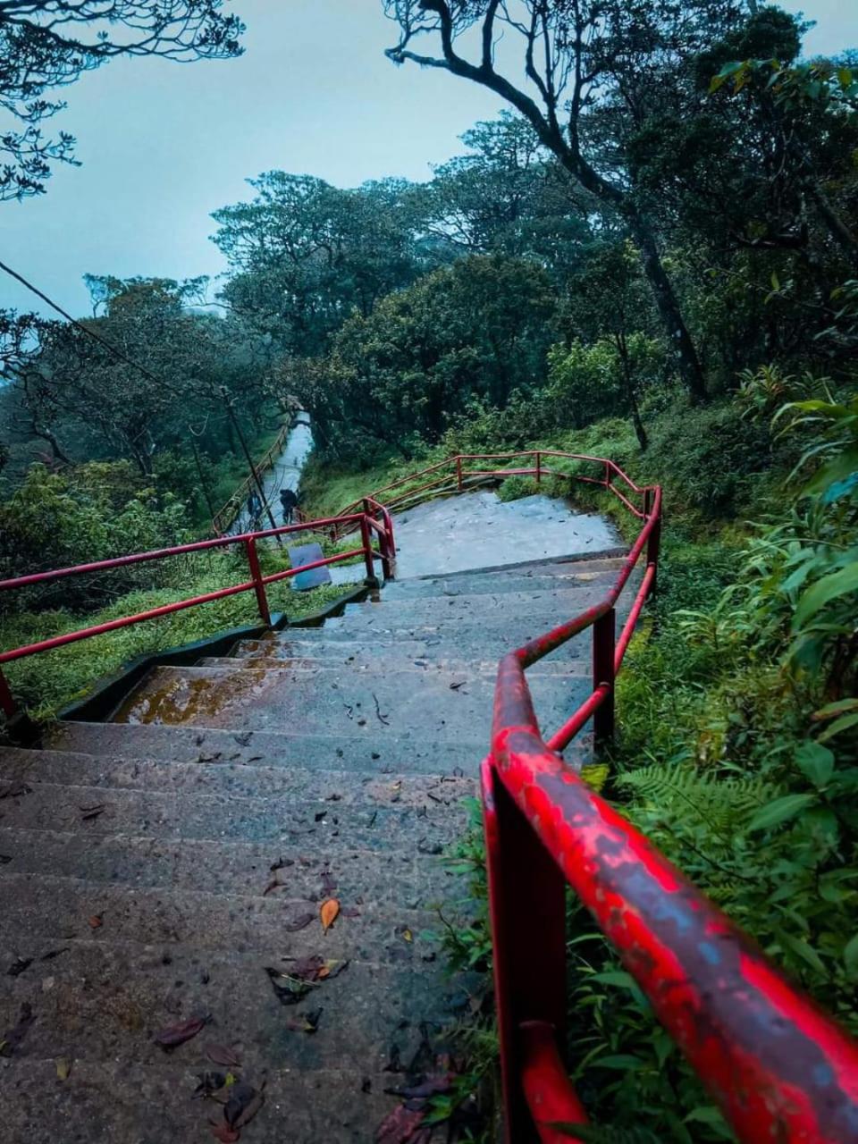 Dilani Adamspeak Riverstay Nallathanniya Exterior photo