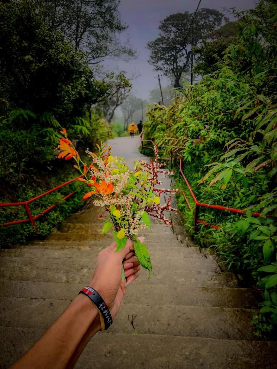 Dilani Adamspeak Riverstay Nallathanniya Exterior photo