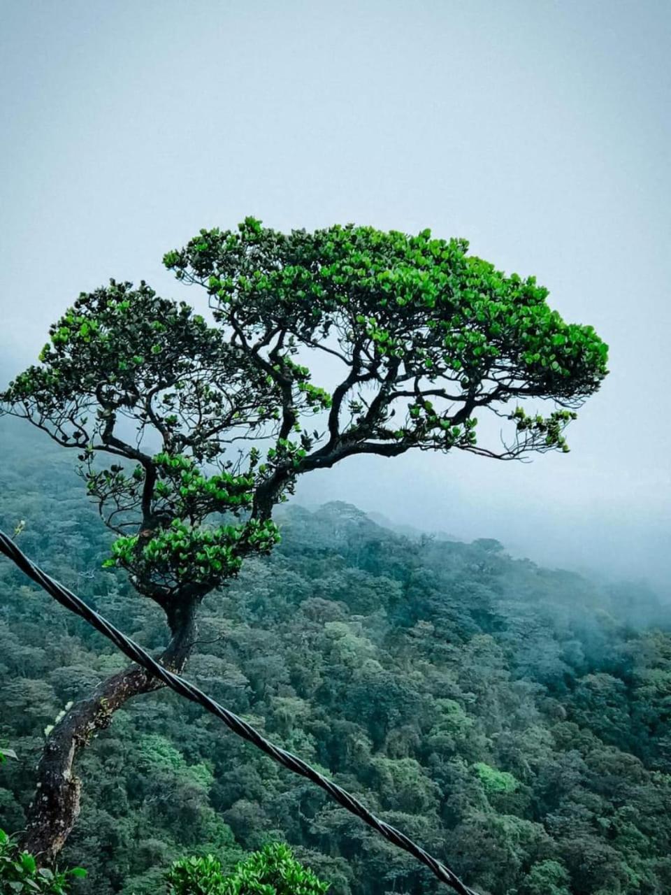 Dilani Adamspeak Riverstay Nallathanniya Exterior photo