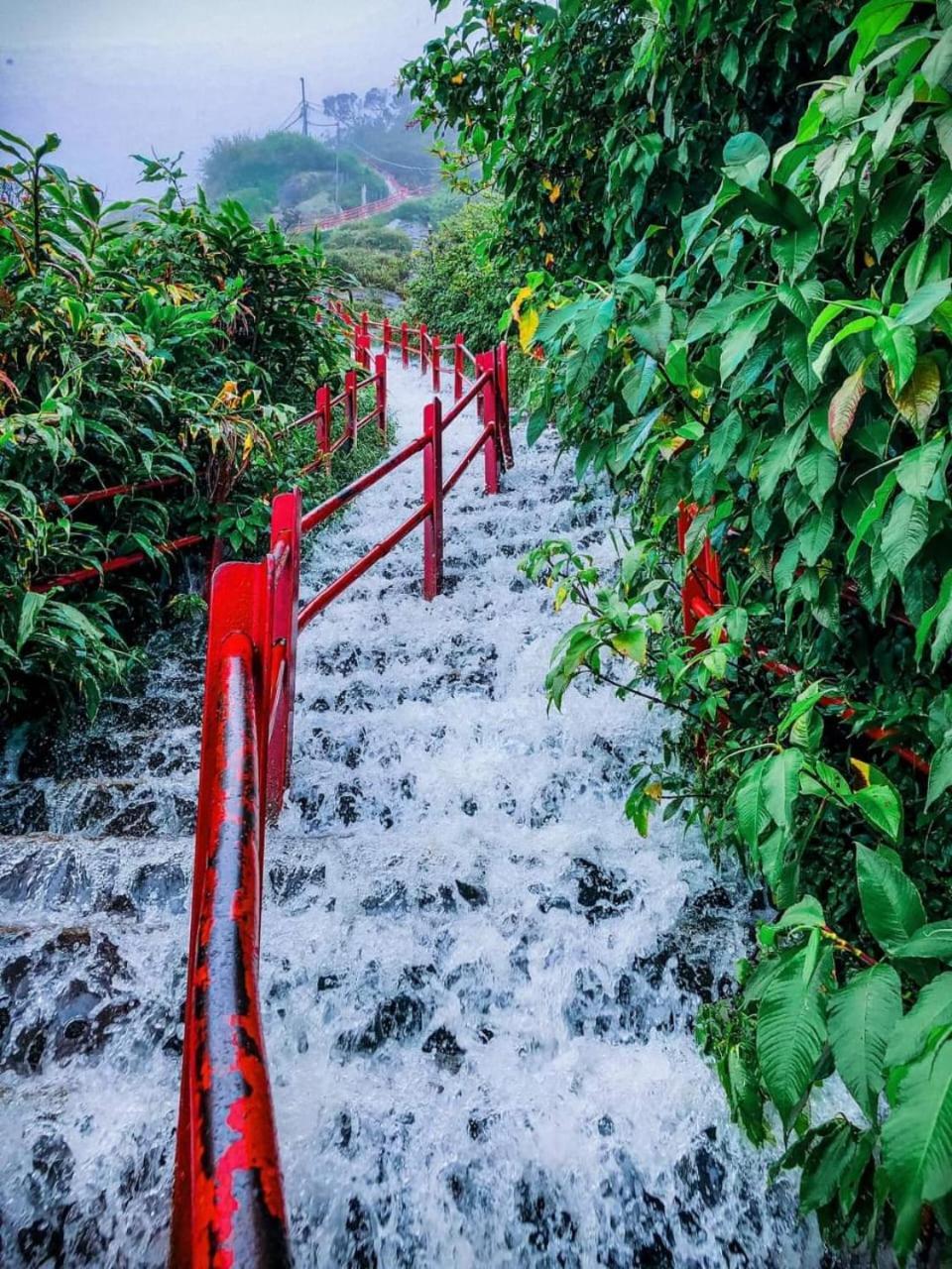 Dilani Adamspeak Riverstay Nallathanniya Exterior photo
